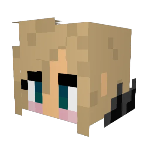 BunnyBoyDrew Minecraft avatar head, 3D render