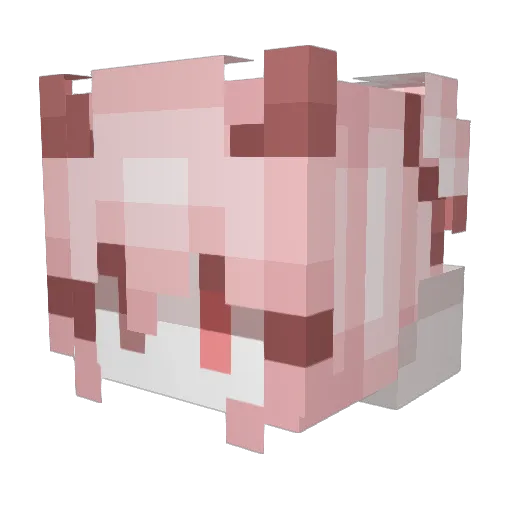BunnyCorn Minecraft avatar head, 3D render