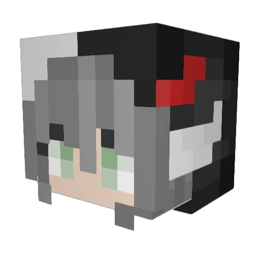 BunnyHopster Minecraft avatar head, 3D render