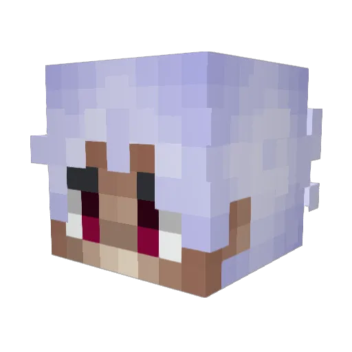 BunnyIglesias Minecraft avatar head, 3D render