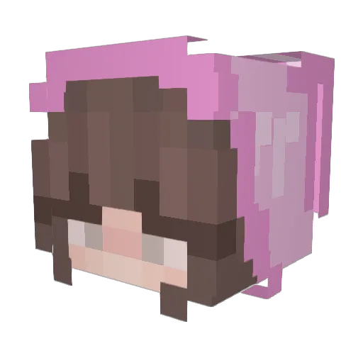 BunnyLyle Minecraft avatar head, 3D render