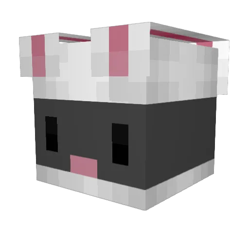 BunnyNinja Minecraft avatar head, 3D render