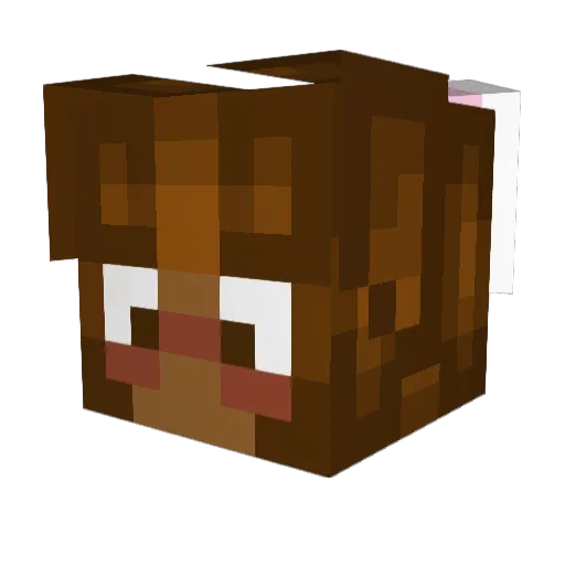 BunnyPlayz10 Minecraft avatar head, 3D render