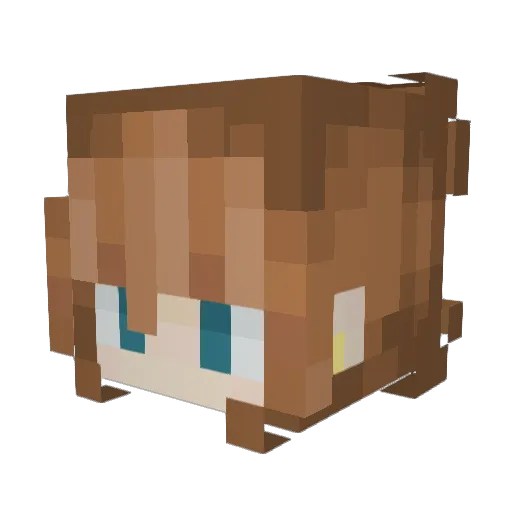 BunnyRabbit8545 Minecraft avatar head, 3D render