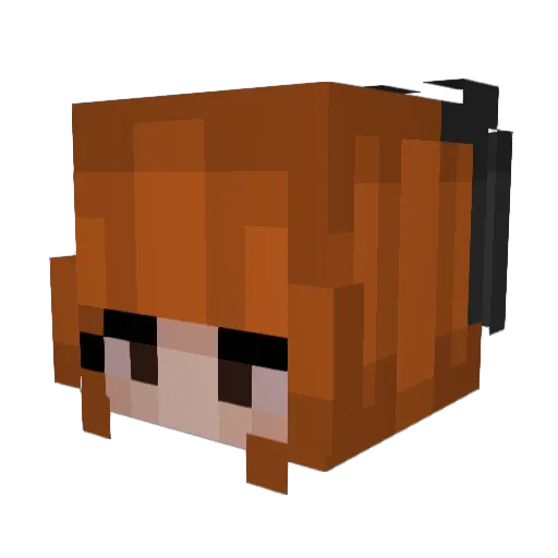 BunnyRin Minecraft avatar head, 3D render