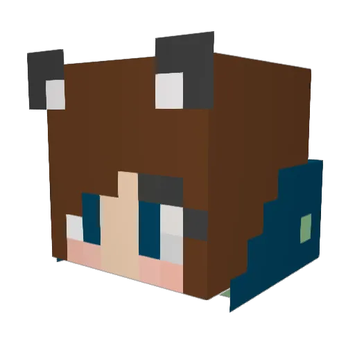 BunnyRobbles Minecraft avatar head, 3D render