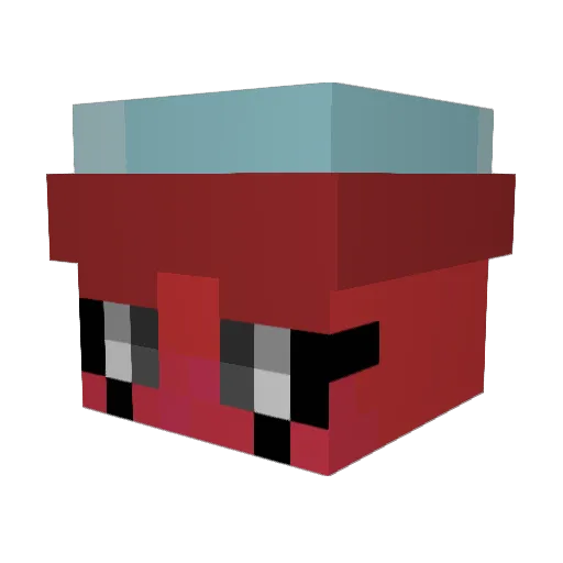 BunnySharkGamer Minecraft avatar head, 3D render