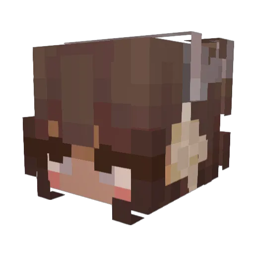 BunnySlipss Minecraft avatar head, 3D render