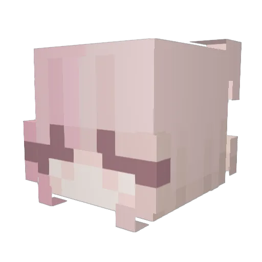 BunnyTakuChan Minecraft avatar head, 3D render