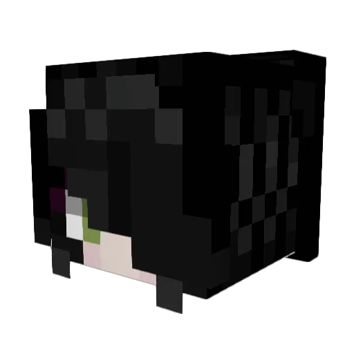 BunnyUp Minecraft avatar head, 3D render