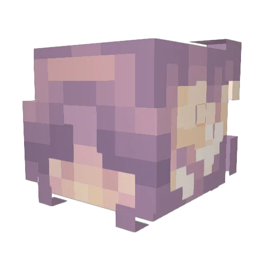 BunnyWafel Minecraft avatar head, 3D render