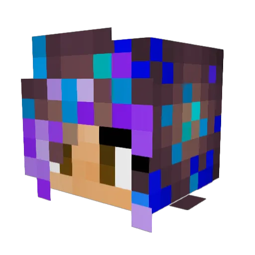 Bunny_Bee235 Minecraft avatar head, 3D render