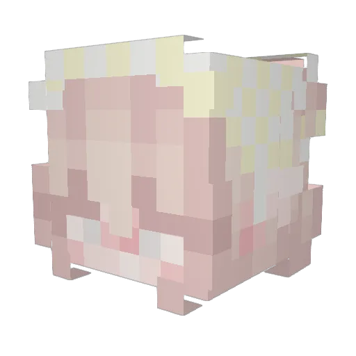 Bunny_Bun10 Minecraft avatar head, 3D render