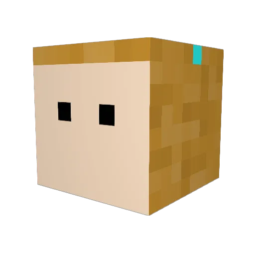 Bunny_DYT3 Minecraft avatar head, 3D render