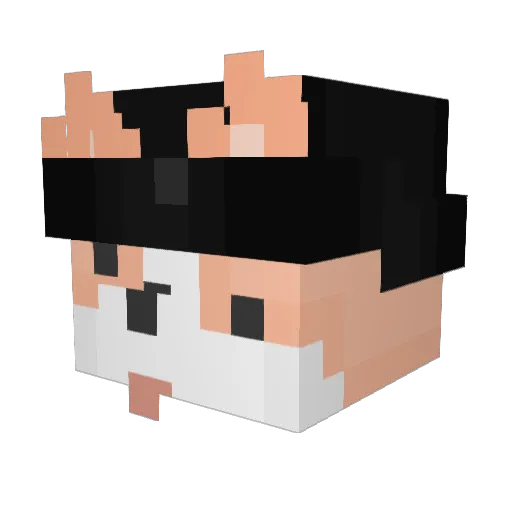 Bunny_Puppy Minecraft avatar head, 3D render