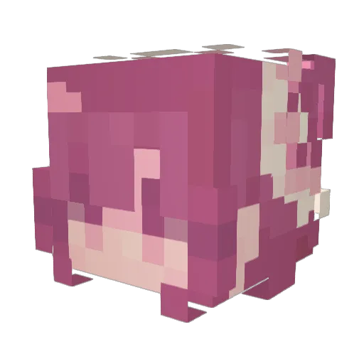 Bunnybutt999 Minecraft avatar head, 3D render
