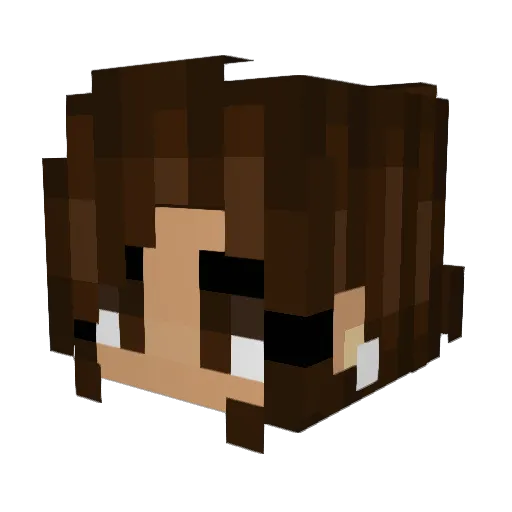 Bunnydog22 Minecraft avatar head, 3D render