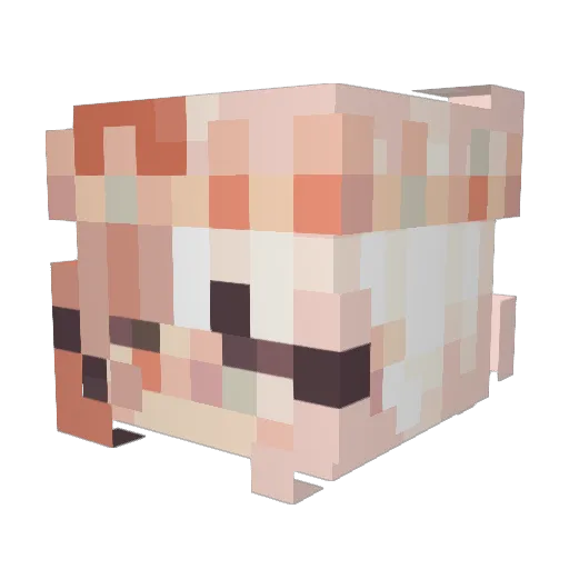 Bunnygamerscd Minecraft avatar head, 3D render