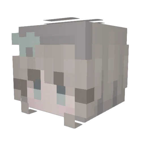Bunnyhald Minecraft avatar head, 3D render