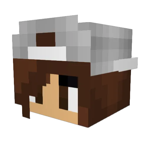 Bunnylover574 Minecraft avatar head, 3D render