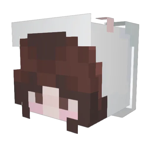 Bunnyluv00 Minecraft avatar head, 3D render