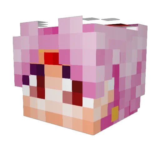 Bunnypoggle Minecraft avatar head, 3D render