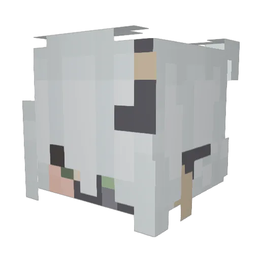 BunnyyAcid Minecraft avatar head, 3D render