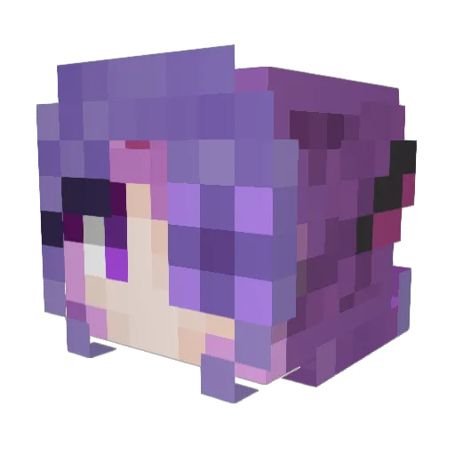 Bunsenberry Minecraft avatar head, 3D render