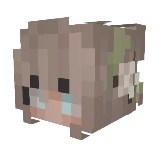 Bunsterria Minecraft avatar head, 3D render