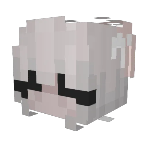 Bunsway Minecraft avatar head, 3D render