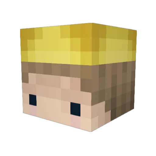 BunteTomate Minecraft avatar head, 3D render