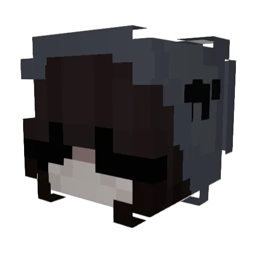 Bunwi Minecraft avatar head, 3D render