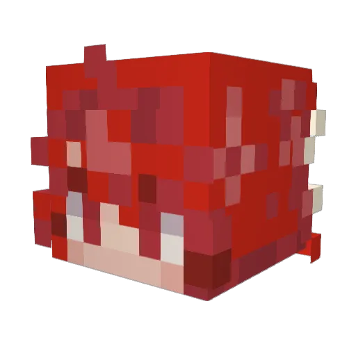 Bunxh Minecraft avatar head, 3D render