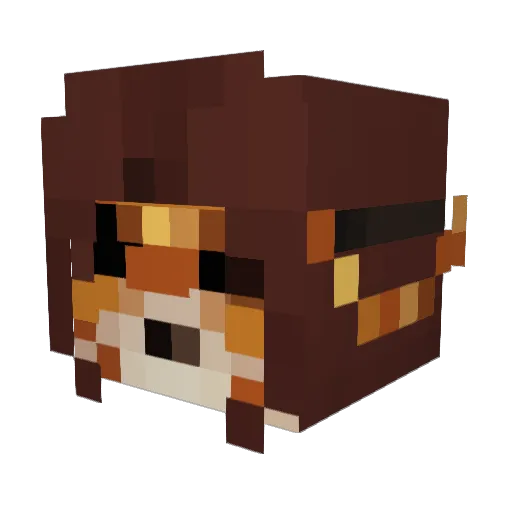 Bunz0o Minecraft avatar head, 3D render