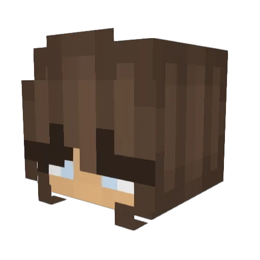 Bunzuny Minecraft avatar head, 3D render