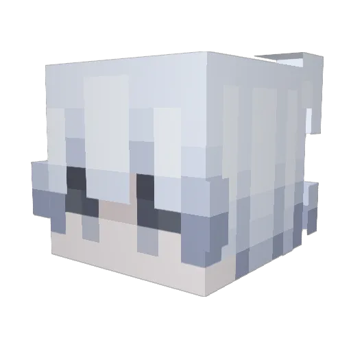Bunzyy_ Minecraft avatar head, 3D render