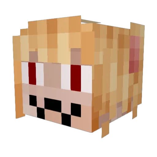Bup16 Minecraft avatar head, 3D render