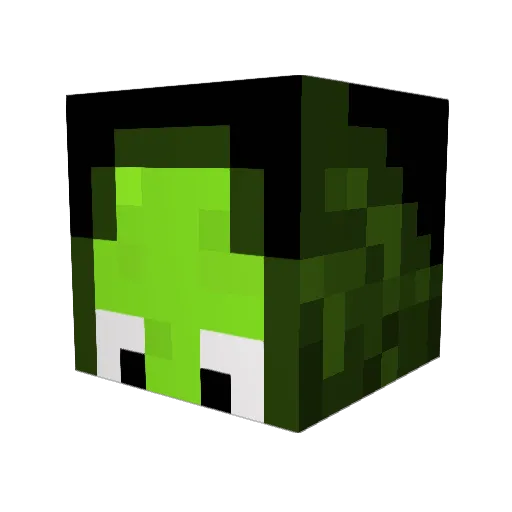 BurakBlt29 Minecraft avatar head, 3D render