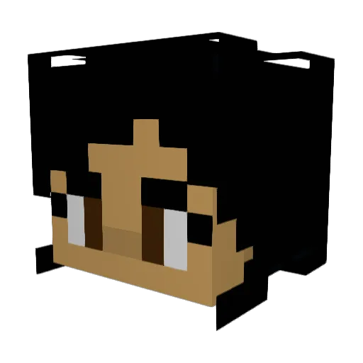 Burbo_ Minecraft avatar head, 3D render