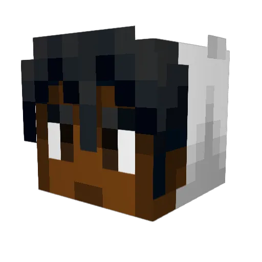 Burden17 Minecraft avatar head, 3D render