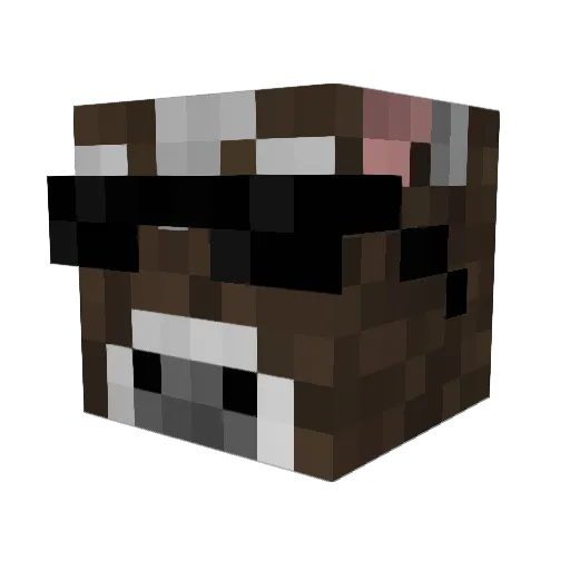 Burdman97 Minecraft avatar head, 3D render