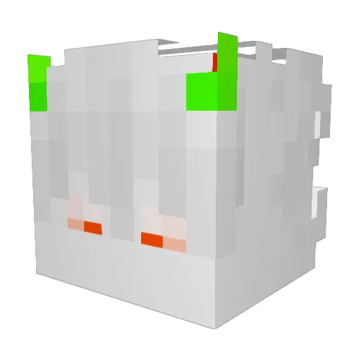 Burek_PL Minecraft avatar head, 3D render