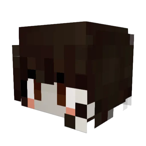Burfersmells Minecraft avatar head, 3D render