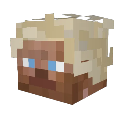 Burg_xritch Minecraft avatar head, 3D render
