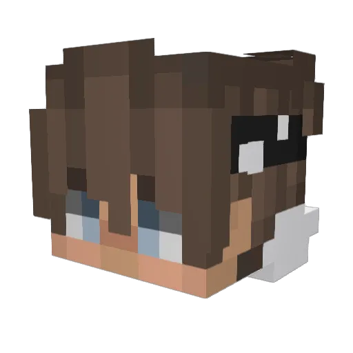 Burger128 Minecraft avatar head, 3D render