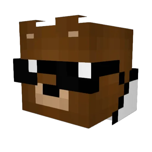 Burger321 Minecraft avatar head, 3D render