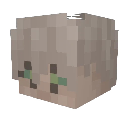 BurgerBiter22 Minecraft avatar head, 3D render