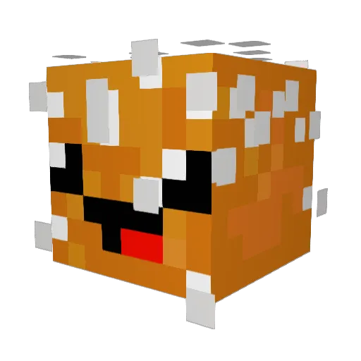 BurgerBoiii Minecraft avatar head, 3D render