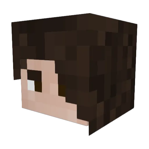 BurgerBoy_420 Minecraft avatar head, 3D render