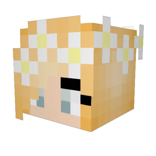 BurgerBrat Minecraft avatar head, 3D render